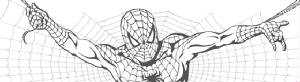 spidermanweb.jpg