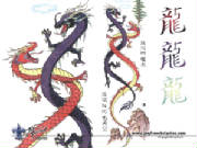 twin dragons wallpaper